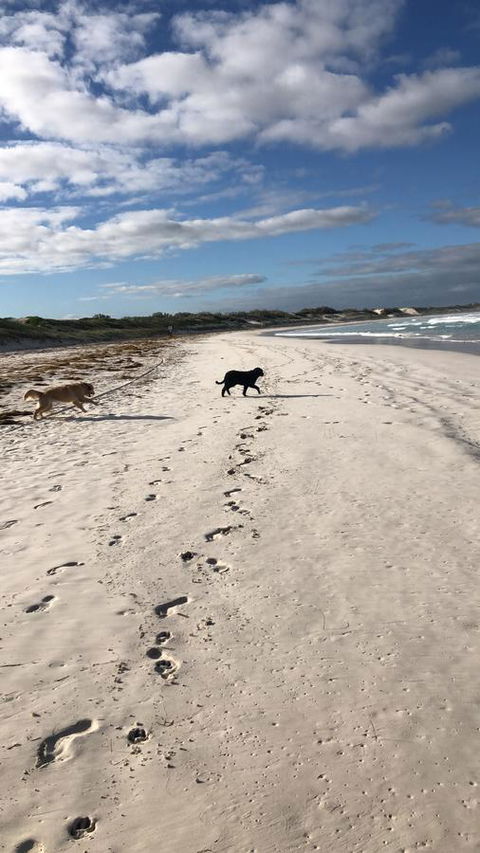 The Bothy Lancelin Family Retreat - NT Tourism 30