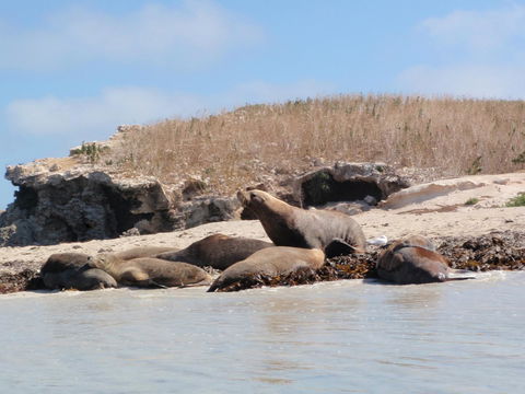 Island View Villas - Accommodation NT 14