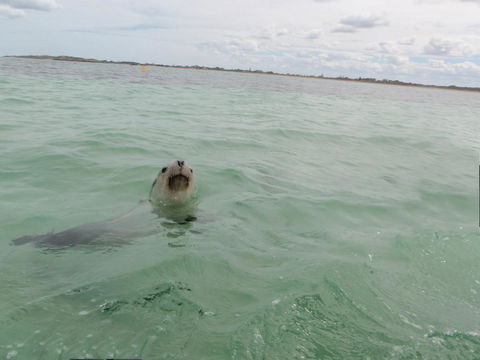 Island View Villas - Accommodation NT 13