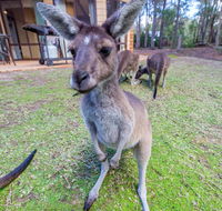 Yelverton Brook Eco Spa Retreat  Conservation Sanctuary - NT Tourism