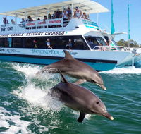 Belvedere Caravan Park - NT Tourism