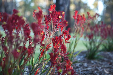 Amaroo Retreat & Spa - Accommodation NT 16