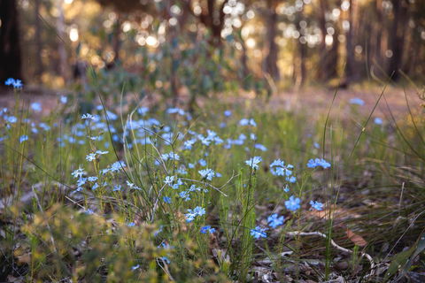 Amaroo Retreat & Spa - Accommodation NT 15