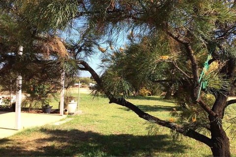 Ocean View Homestead - NT Tourism 23