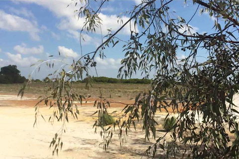 Ocean View Homestead - NT Tourism 16