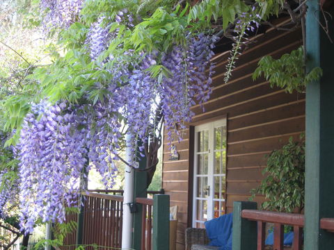 RoseMoore Bed & Breakfast - NT Tourism 11