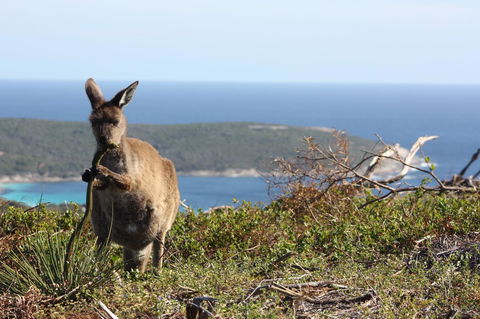Bremer Bay B&B - NT Tourism 30