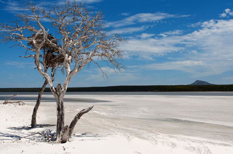 Bremer Bay B&B - NT Tourism 33