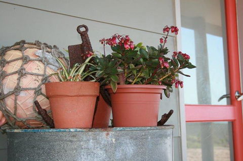 Bremer Bay B&B - NT Tourism 28