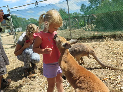 Jurien Beachfront Holiday Units - NT Tourism 36