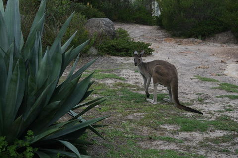 Aqua Views - NT Tourism 15