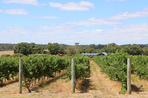 Burton Farmhouse - NT Tourism 11