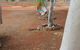 Meekatharra Accommodation Centre - thumb 13