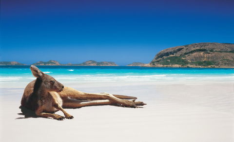 Esperance YHA - NT Tourism 14