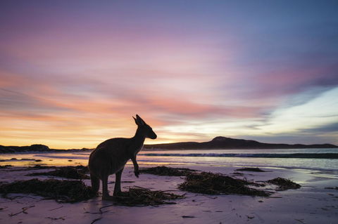 Esperance YHA - NT Tourism 20