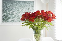 Book Kingston Beach Accommodation Vacations Accommodation NT Accommodation NT