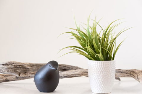 Sandy Bay Waterfront Home - Accommodation NT 35