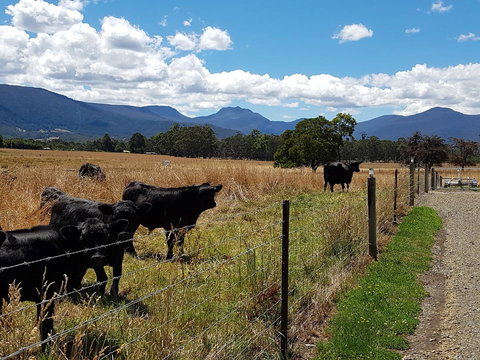 The Manager\'s Cottage - Accommodation NT 6