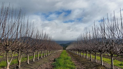 The Manager\'s Cottage - Accommodation NT 18