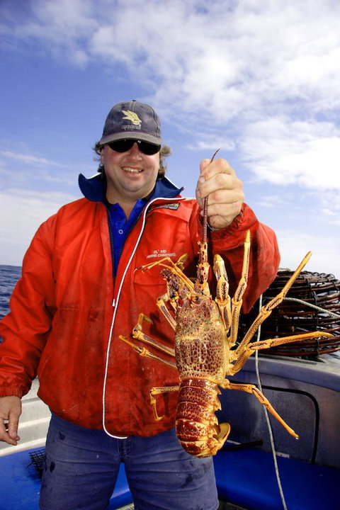 Horizon Deluxe Apartments - Accommodation NT 15