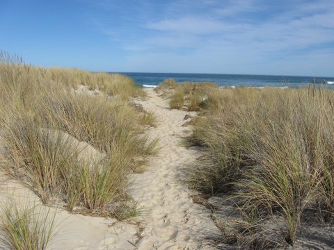 Blue Seas Holiday Villas - Accommodation NT 9