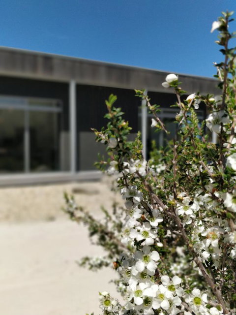 Aplite House - Accommodation NT 7