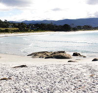 Mermaids of Bicheno - Accommodation NT