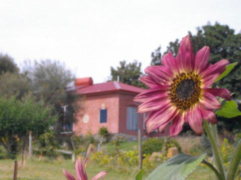 Cherry Top Farmstay - Boutique Eco Village - NT Tourism 27