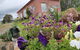 Cherry Top Farmstay - Boutique Eco Village - thumb 7