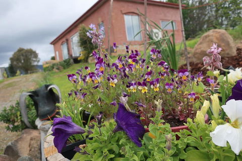 Cherry Top Farmstay - Boutique Eco Village - NT Tourism 7