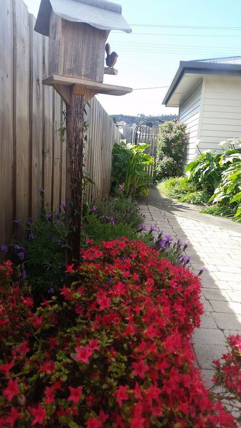 Driftwood-Cottage - Accommodation NT 16