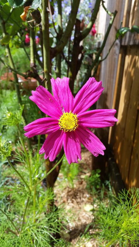 Driftwood-Cottage - Accommodation NT 27