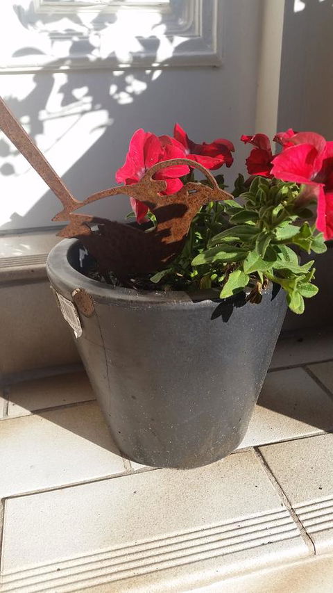 Driftwood-Cottage - Accommodation NT 36