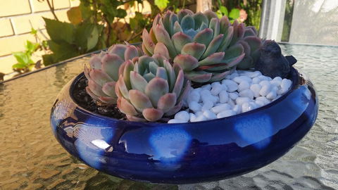 Driftwood-Cottage - Accommodation NT 37