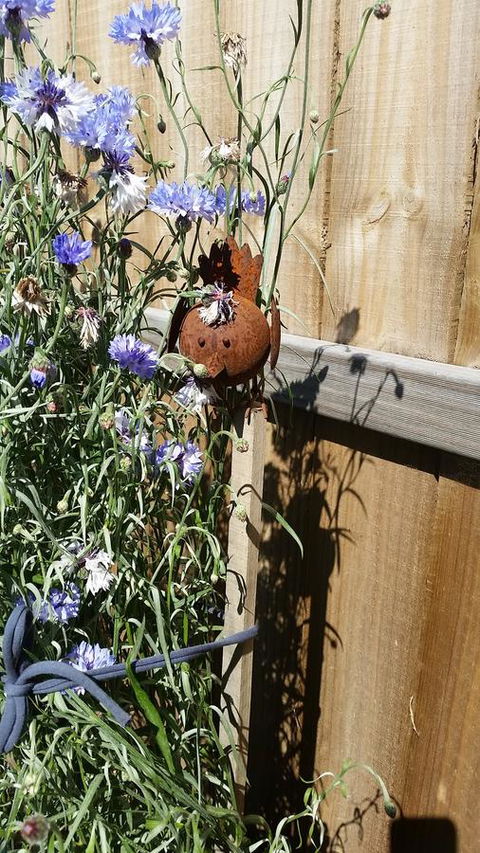 Driftwood-Cottage - Accommodation NT 26