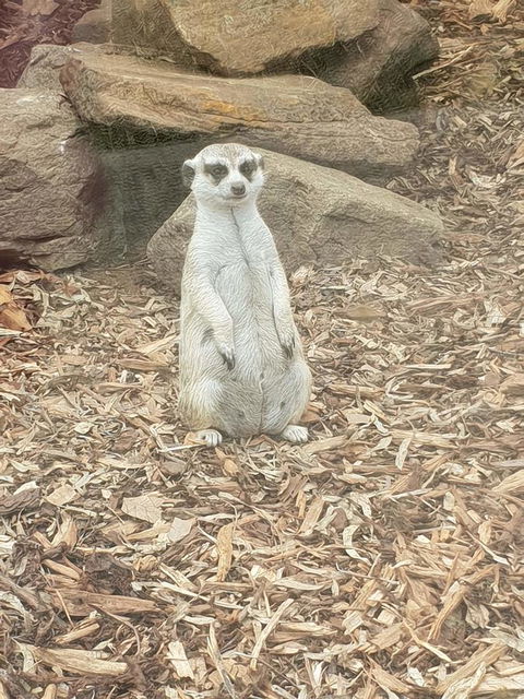 Driftwood-Cottage - Accommodation NT 44