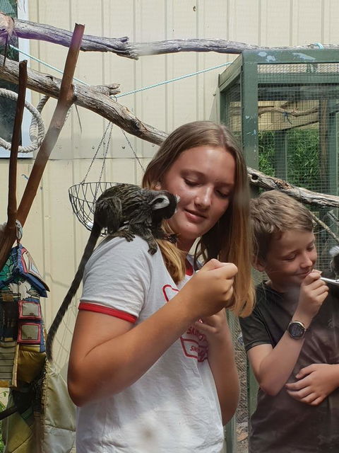 Driftwood-Cottage - Accommodation NT 43