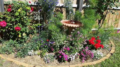 Driftwood-Cottage - Accommodation NT 25