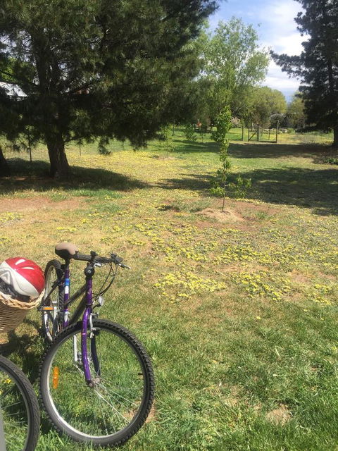 White Croft Cottage - Accommodation NT 3