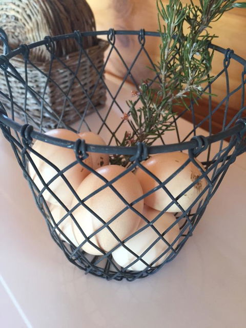 White Croft Cottage - Accommodation NT 8