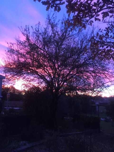 White Croft Cottage - Accommodation NT 2