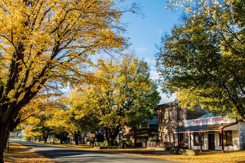 White Croft Cottage - Accommodation NT 22