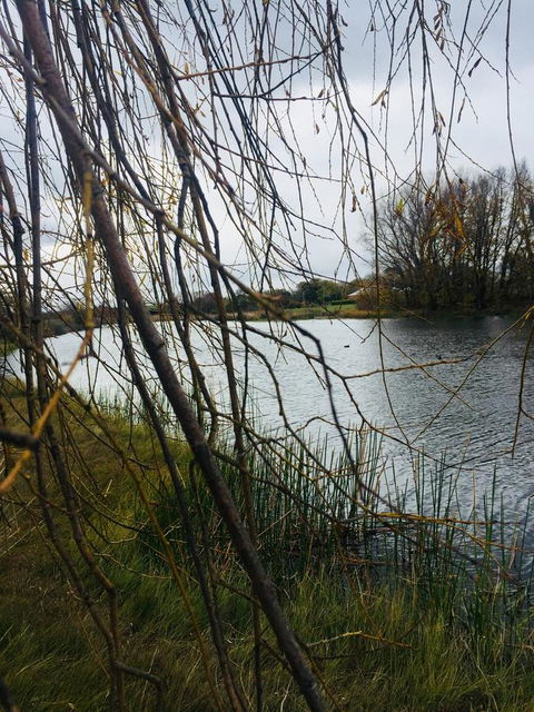 White Croft Cottage - Accommodation NT 6