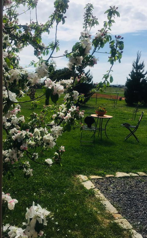 White Croft Cottage - Accommodation NT 4