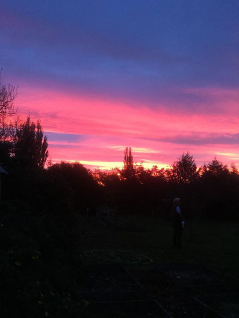 White Croft Cottage - Accommodation NT 1