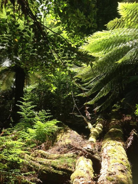 Sheer Pleasure Accommodation - Accommodation NT 25