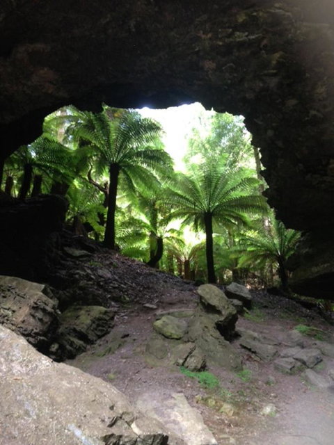 Sheer Pleasure Accommodation - Accommodation NT 21