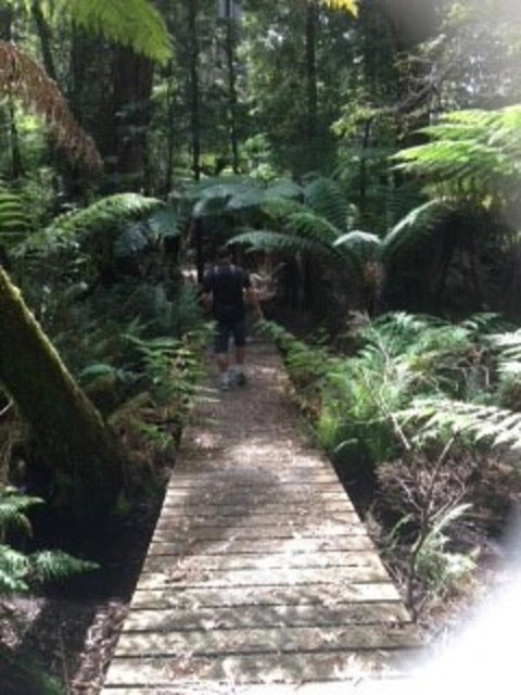 Sheer Pleasure Accommodation - Accommodation NT 23