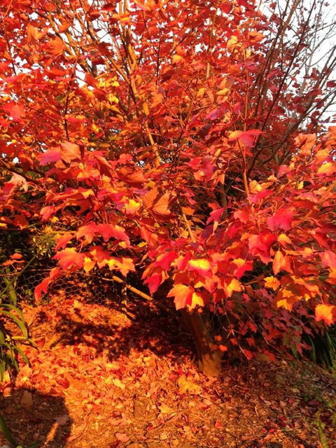 Sheer Pleasure Accommodation - Accommodation NT 26