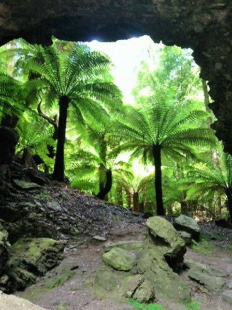 Sheer Pleasure Accommodation - Accommodation NT 22